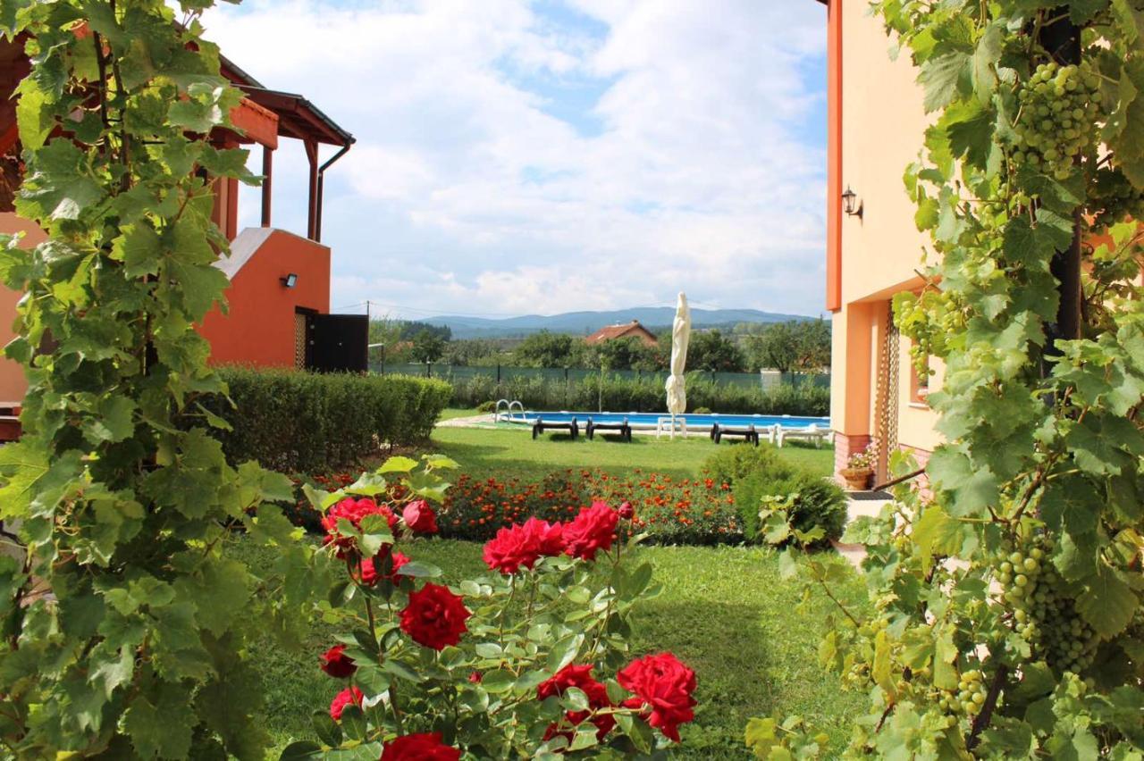 Къщи За Гости Ореха Samokov Exterior photo